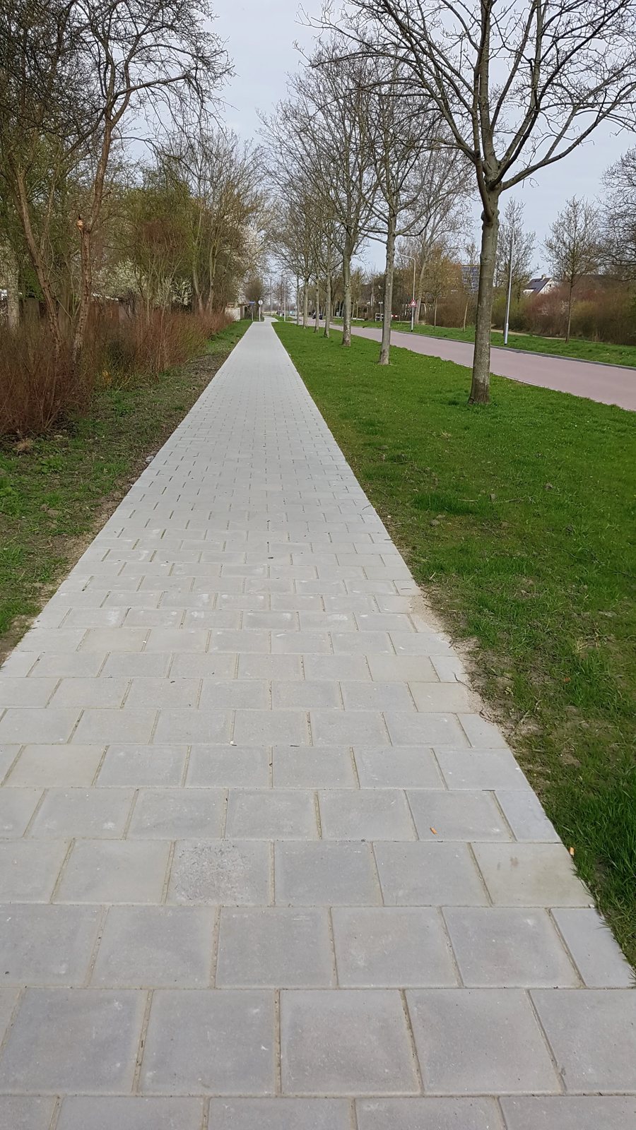 Fietspad Pauwenburglaan